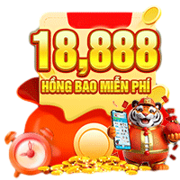 code khuyến mãi